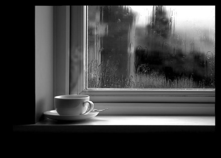rainy days cup of tea warminside black and white photograph